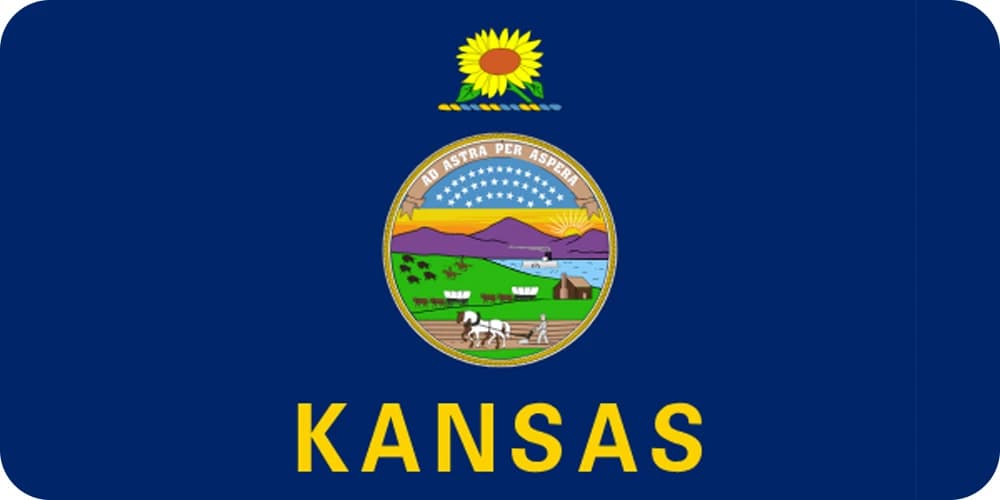 Kansas state flag