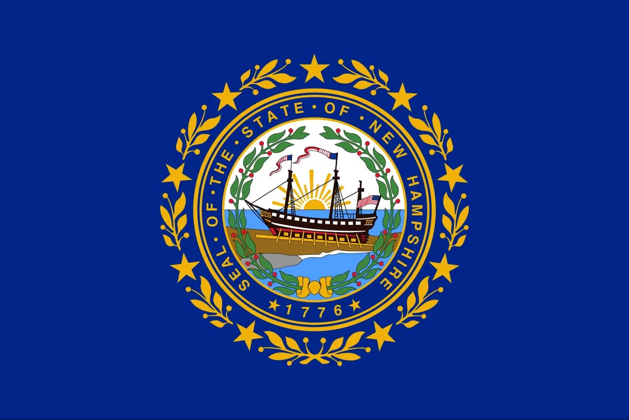 New Hampshire state flag